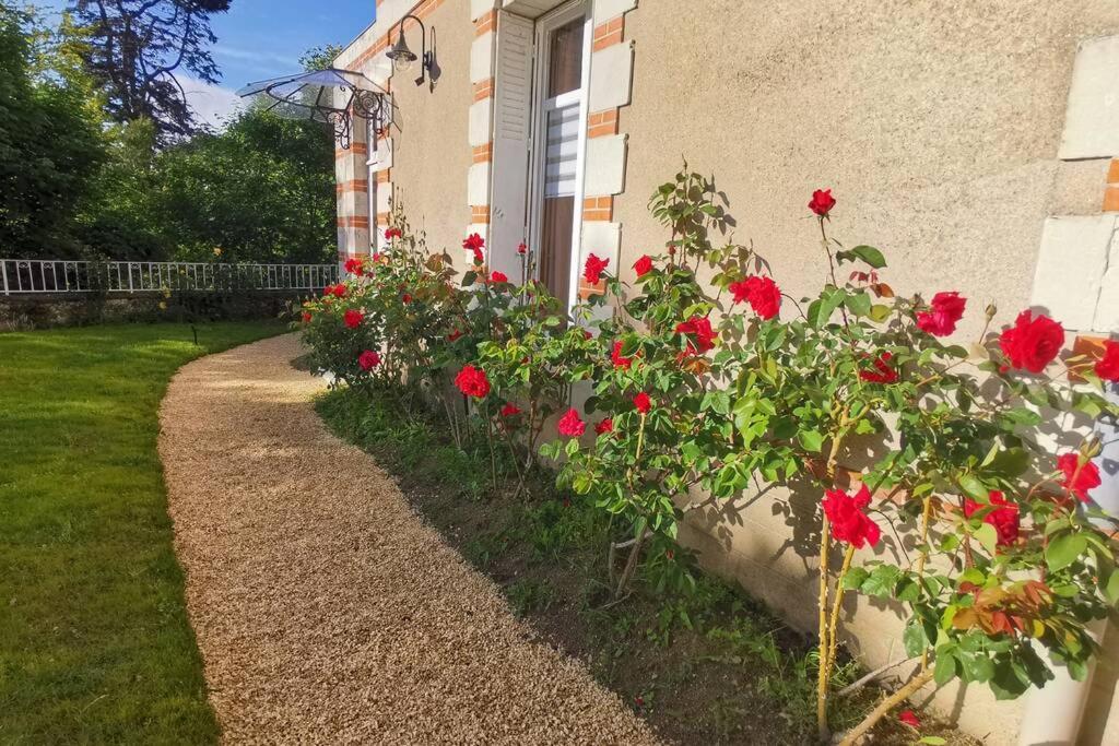 Amalouyse Chambre De Charme Au Coeur Des Chateaux De La Loire มงต์ลุยส์-ซูร์-ลัวร์ ภายนอก รูปภาพ