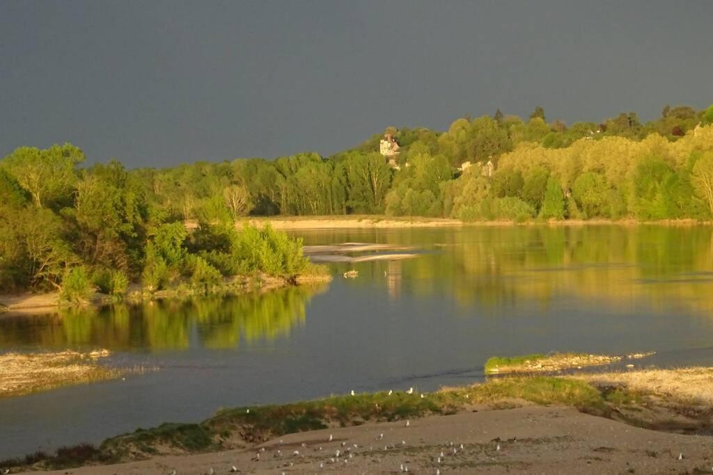 Amalouyse Chambre De Charme Au Coeur Des Chateaux De La Loire มงต์ลุยส์-ซูร์-ลัวร์ ภายนอก รูปภาพ
