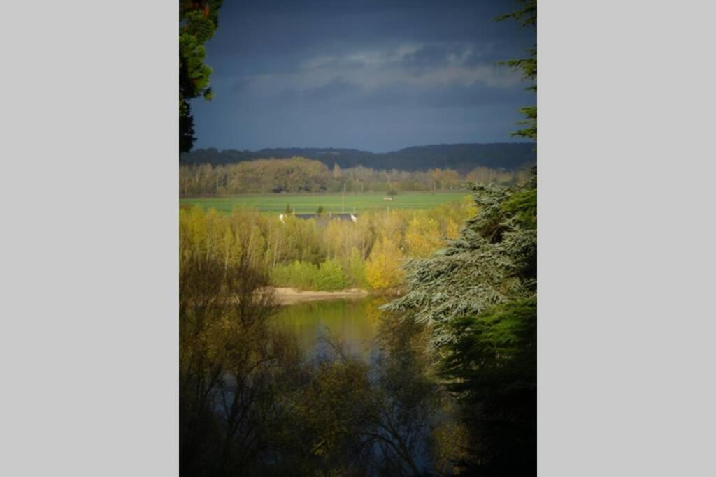 Amalouyse Chambre De Charme Au Coeur Des Chateaux De La Loire มงต์ลุยส์-ซูร์-ลัวร์ ภายนอก รูปภาพ