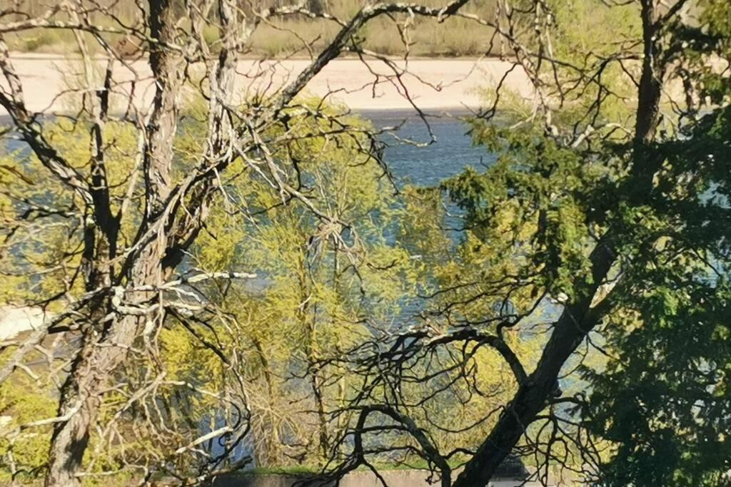 Amalouyse Chambre De Charme Au Coeur Des Chateaux De La Loire มงต์ลุยส์-ซูร์-ลัวร์ ภายนอก รูปภาพ
