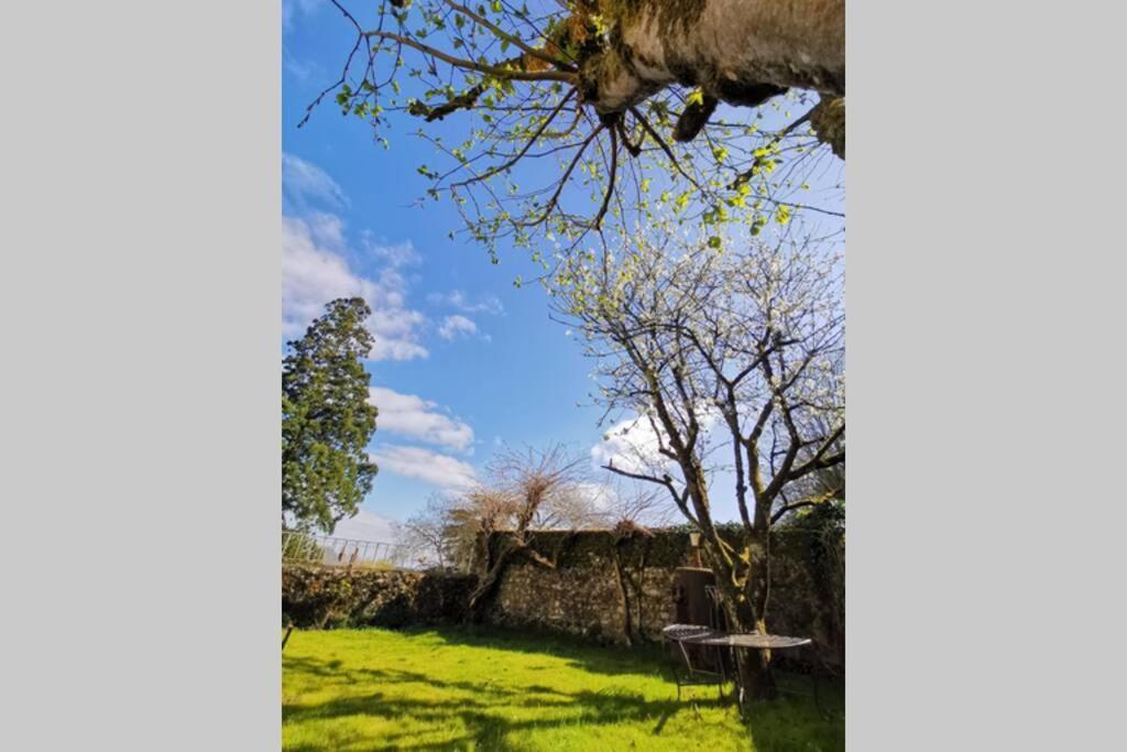 Amalouyse Chambre De Charme Au Coeur Des Chateaux De La Loire มงต์ลุยส์-ซูร์-ลัวร์ ภายนอก รูปภาพ